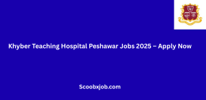 Punjab Health Care Commission Lahore Jobs 2025 – Apply Now (10)