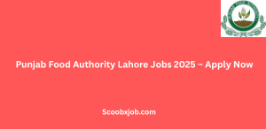 Punjab Food Authority Lahore Jobs 2025 – Apply Now